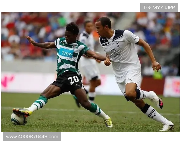 周伟独家解析乒乓球技巧与心得助你提升竞技水平